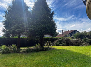 Photo de galerie - Abattage 