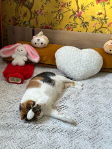 Photo de galerie - Trop timide pour des photos ? 