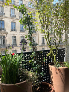 Photo de galerie - Paysagiste - Aménagement du jardin