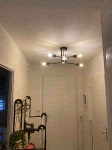 Photo de galerie - Installation des lumières et prise 