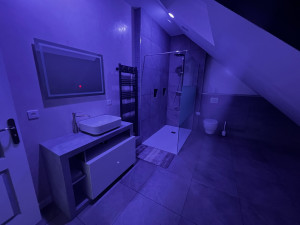 Photo de galerie - Cloisonnage d’une chambre pour création d’une salle d’eau