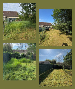 Photo de galerie - Avec évacuation de déchets verts 