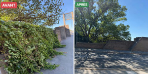 Photo de galerie - Tous travaux de jardinage : tonte, taille, débroussaillage, élagage, abattage et entretien des espaces verts.
✅ Travail soigné et belles finitions
? Paiement en 2 fois possible 
? Brignoles et alentours.
? Essayez nos services, vous ne serez pas déçu !