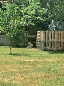 Photo de galerie - Création clôture en palette et tonte de pelouse