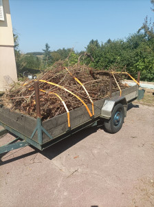 Photo de galerie - Évacuation de déchets verts.