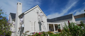 Photo de galerie - Peinture - Tapisserie