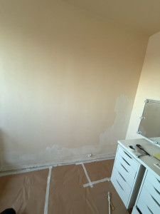 Photo de galerie - Peinture - Tapisserie