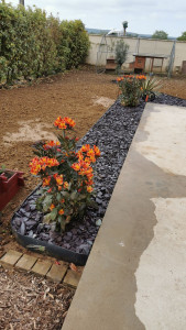 Photo de galerie - Paysagiste - Aménagement du jardin