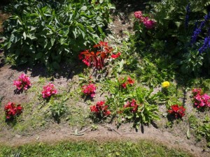 Photo de galerie - Jardinier