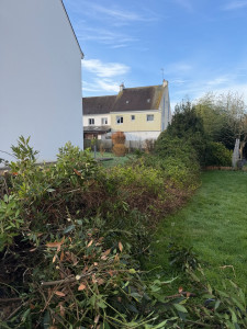 Photo de galerie - Arrachages de haies AVANT