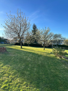 Photo de galerie - Tonte de pelouse - Débroussaillage