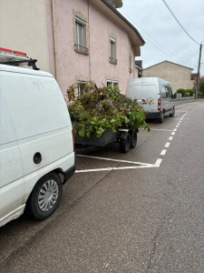 Photo de galerie - Aide à domicile