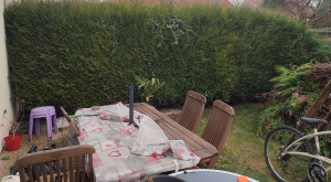 Photo de galerie - Enlèvement de souche