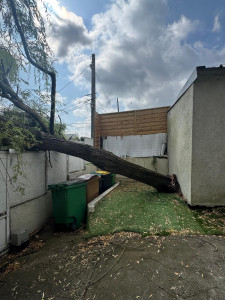 Photo de galerie - La tempête du 25 juin a causé des dégâts.