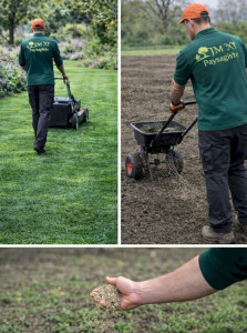 Photo de galerie - Pelouse 