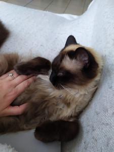 Photo de galerie - La petite Mika