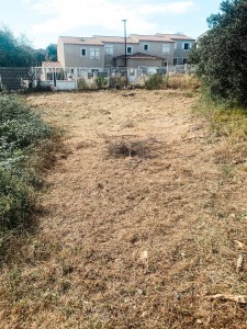 Photo de galerie - Tonte de pelouse - Débroussaillage