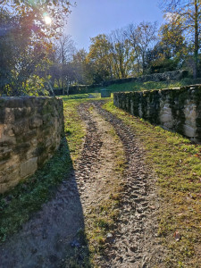 Photo de galerie - Mur en pierre 