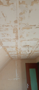 Photo de galerie - Peinture plafond avant