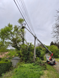 Photo de galerie - élagage avec nacelle.

