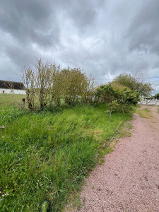 Photo de galerie - Débroussaillage Avant