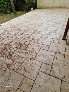 Photo de galerie - AVANT