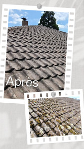 Photo de galerie - Nettoyage manuel toiture (sans eau ni produit).