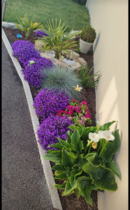 Photo de galerie - Création d'un massif de fleurs 