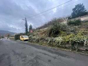 Photo de galerie - Débroussaillage d’un talus de ronce broyeur sur place 