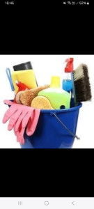 Photo de galerie - Repassage, ménage....