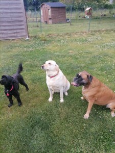 Photo de galerie - En vacances ?