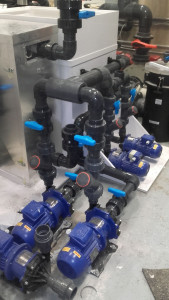 Photo de galerie - Aquarium 
