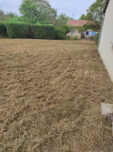 Photo de galerie - Herbes très haute et voilà le résultat 