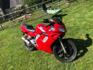 Photo de galerie - Après rénovation 