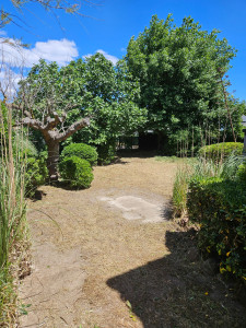 Photo de galerie - Debroussaillages et taille