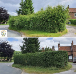 Photo de galerie - à votre service