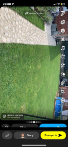 Photo de galerie - Tonte 