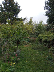 Photo de galerie - Après l'abattage à Man