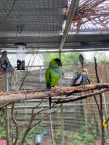 Photo de galerie - Garde animaux