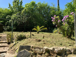 Photo de galerie - Nettoyage jardin 