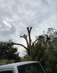 Photo de galerie - Petite taille