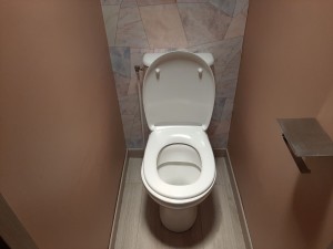 Photo de galerie - Pose d'un toilette