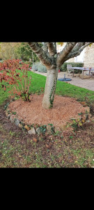 Photo de galerie - Paysagiste - Aménagement du jardin