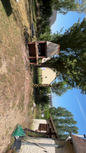 Photo de galerie - Elagage et coupe d'arbres