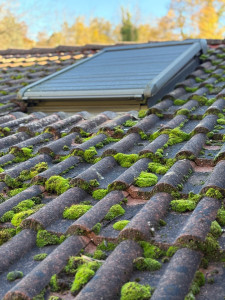 Photo de galerie - Je propose mes services pour le démoussage et l’hydrofuge de toiture. Nettoyage complet des mousses, lichens et saletés afin de redonner une seconde vie à votre toit et le protéger durablement contre l’humidité.