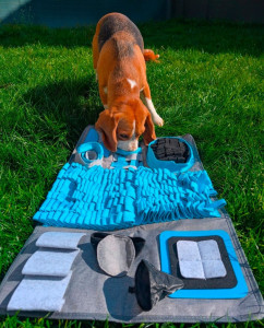 Photo de galerie - Garde à domicile 