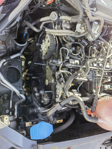 Photo de galerie - Courroie distribution sur Polo 5 2013