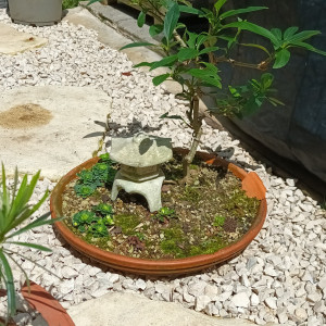 Photo de galerie - Décoration jardin.