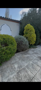 Photo de galerie - Taille 