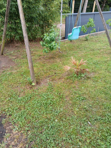 Photo de galerie - Entretien extérieur 